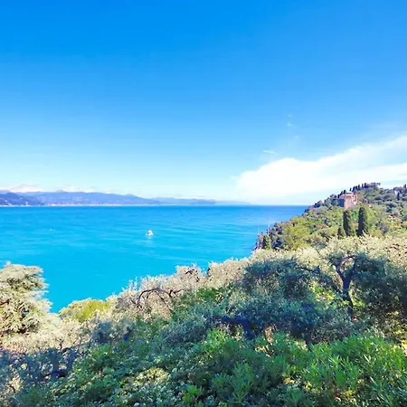 Franca By Klabhouse *