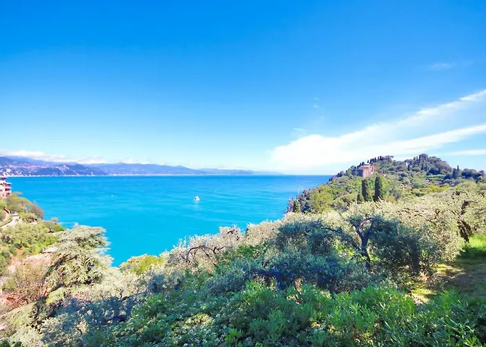 Franca By Klabhouse *