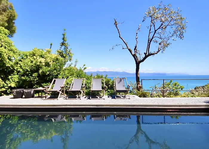 Franca By Klabhouse *